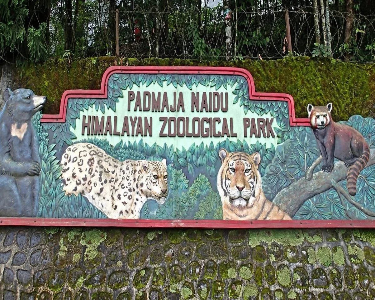 Padmaja Naidu Himalayan Zoological Park 